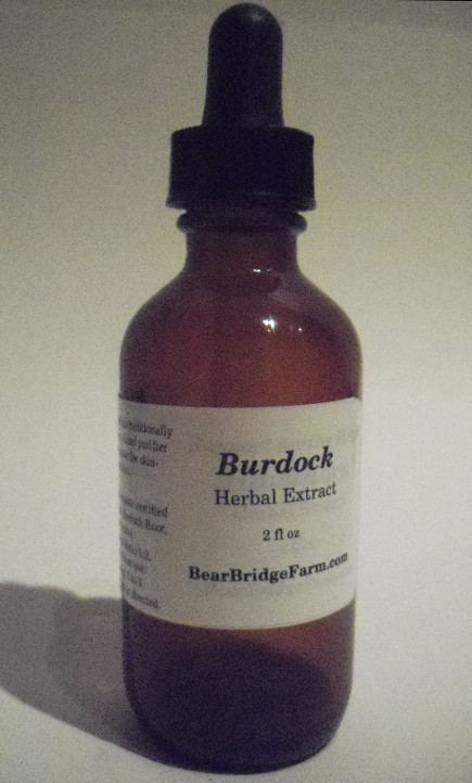 Burdock